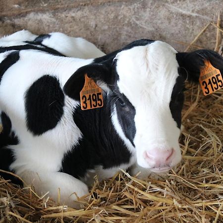 Le Thuit - F2 Plain Pied Tout Equipe A La Ferme Charleval  ภายนอก รูปภาพ
