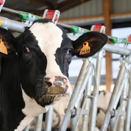 Le Thuit - F2 Plain Pied Tout Equipe A La Ferme Charleval  ภายนอก รูปภาพ