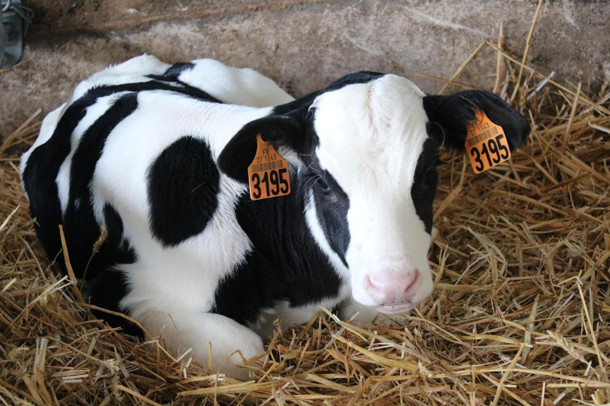 Le Thuit - F2 Plain Pied Tout Equipe A La Ferme Charleval  ภายนอก รูปภาพ